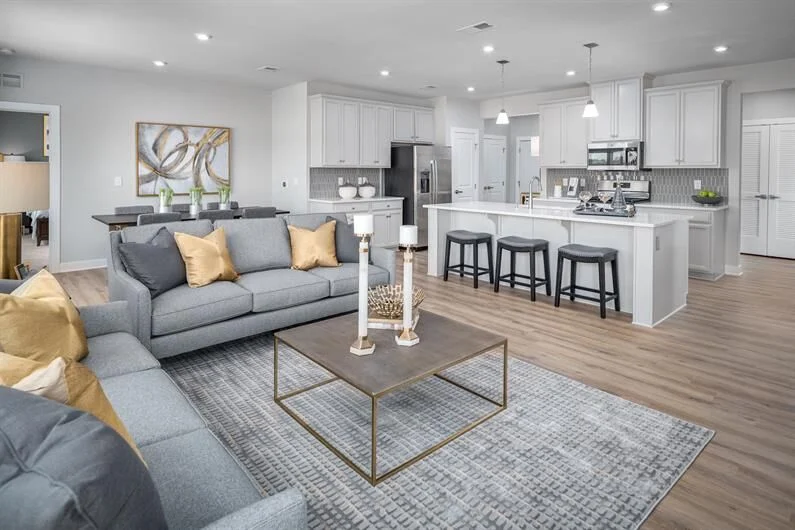 Living room with a gray sofa and area rug, open to the kitchen and dining area